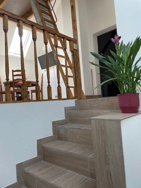 Lavande - 6 Pers Avec Mezzanine *